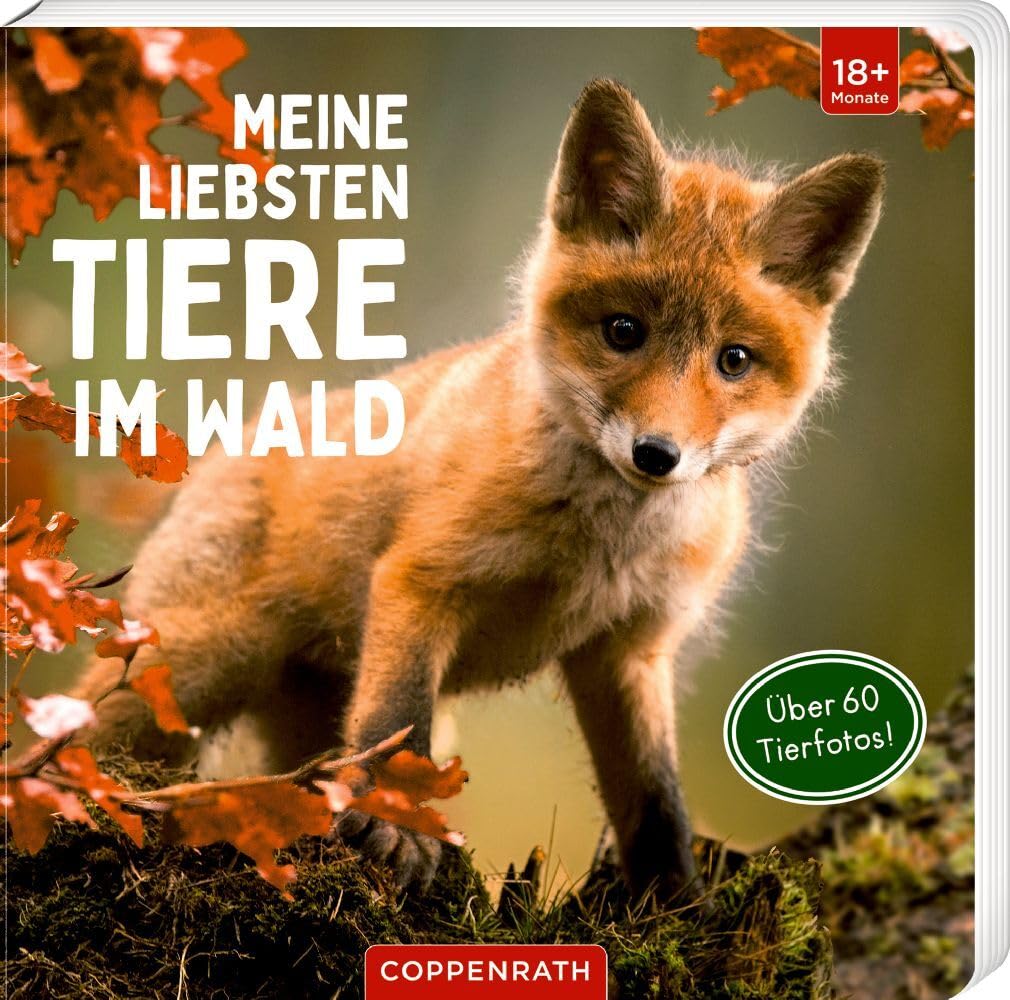 N/A Meine liebsten Tiere im Wald – Fotobuch, Deutsch, 2023