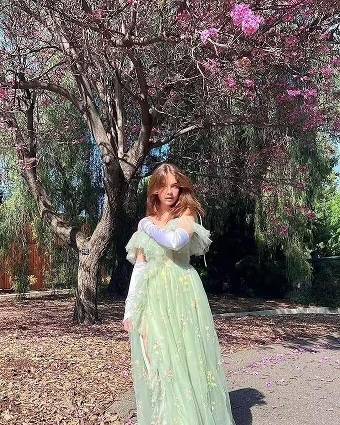 Women's Flower Embroidery Tulle Prom Dresses Corset A Line Long Slit Ruffles Formal Party Gowns3