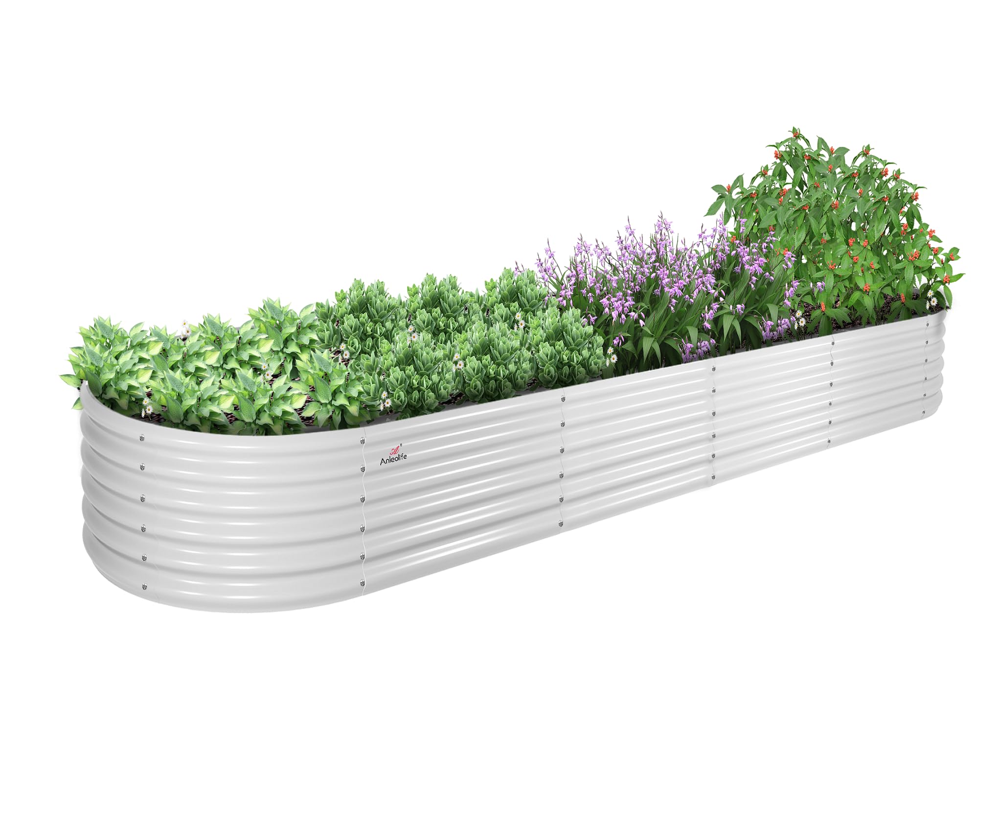 A ANLEOLIFE 12x3 Oval Raised Garden Bed