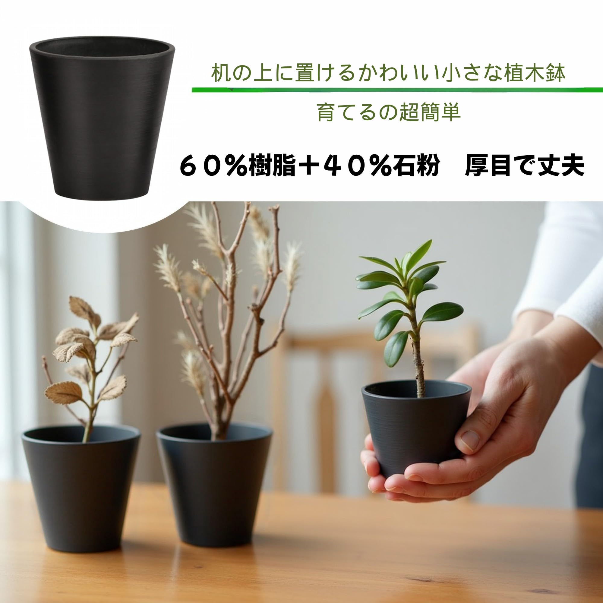 Amazon.co.jp: Greenship 植木鉢 4号（12.7*12.7cm） 深型