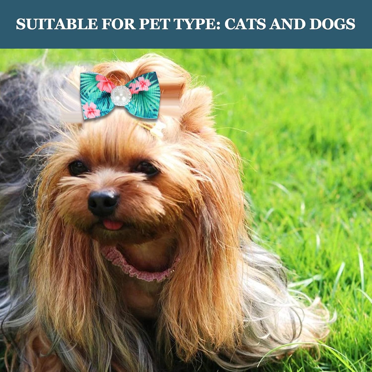 25 Pieces Dog Hair Bows, Fruit Pattern, Pet Hair Bows, Bow, Rubber Band for Puppies, Hair Care Accessories with Bow, Default 3