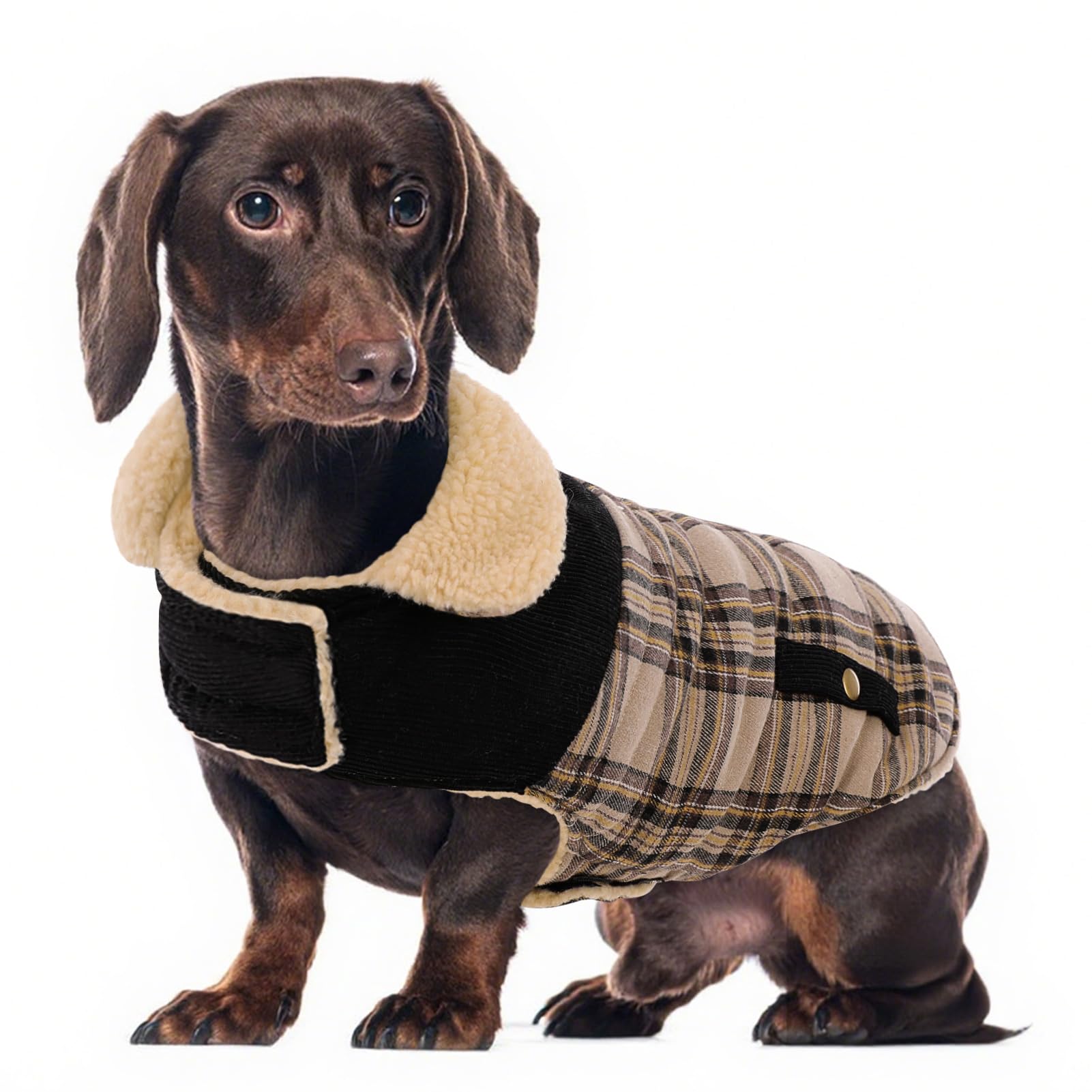 Winter Coat for Medium Dogs, Dog Plaid Jacket, Pets Coat for Cold Weather, Windproof Warm Garments, Pet Thickened Outfits Indoor Outdoor, Beige M