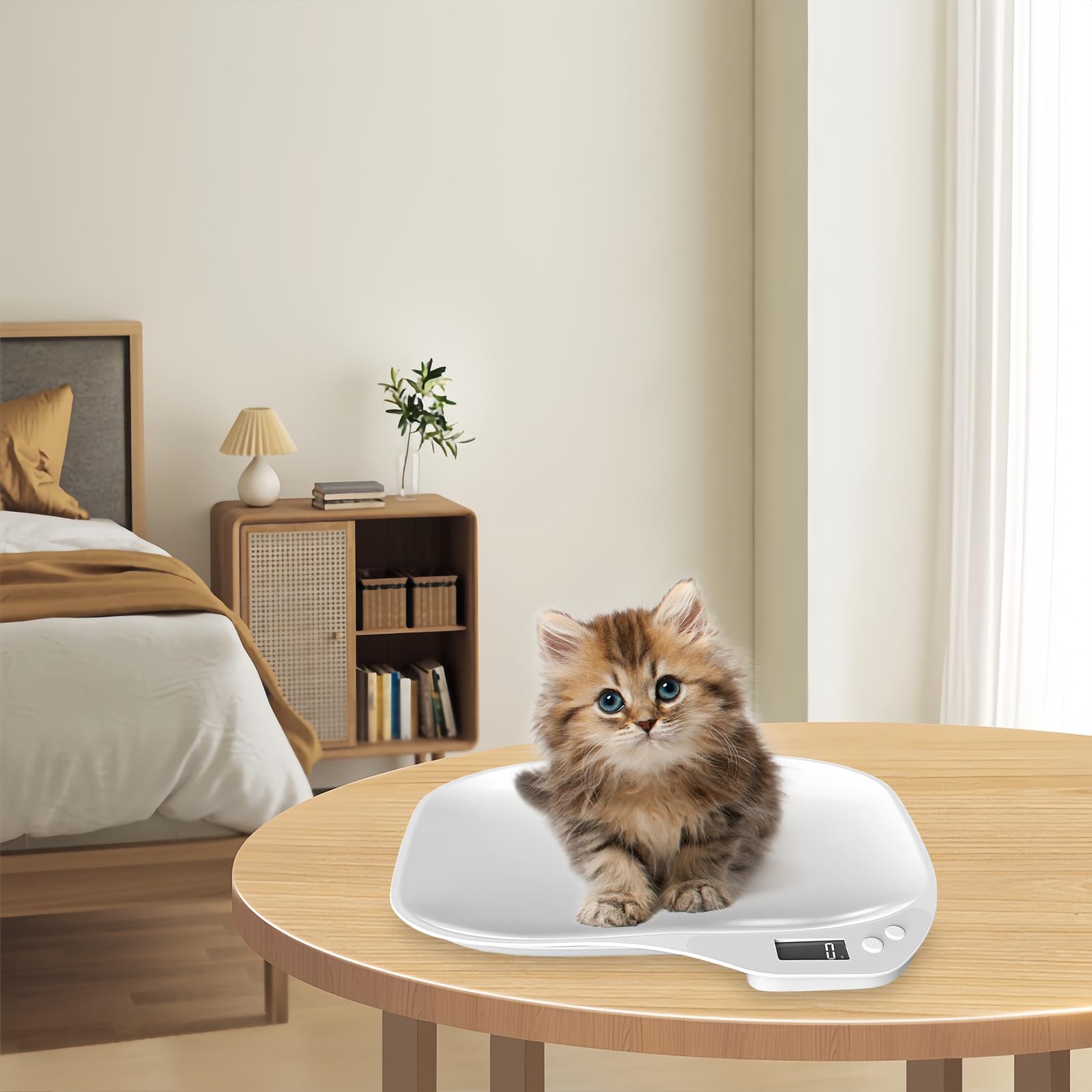 Balance numérique pour petits animaux WIYETY, balance de compagnie avec écran LCD et 4 modes de pesée kg/oz/lb/ml
