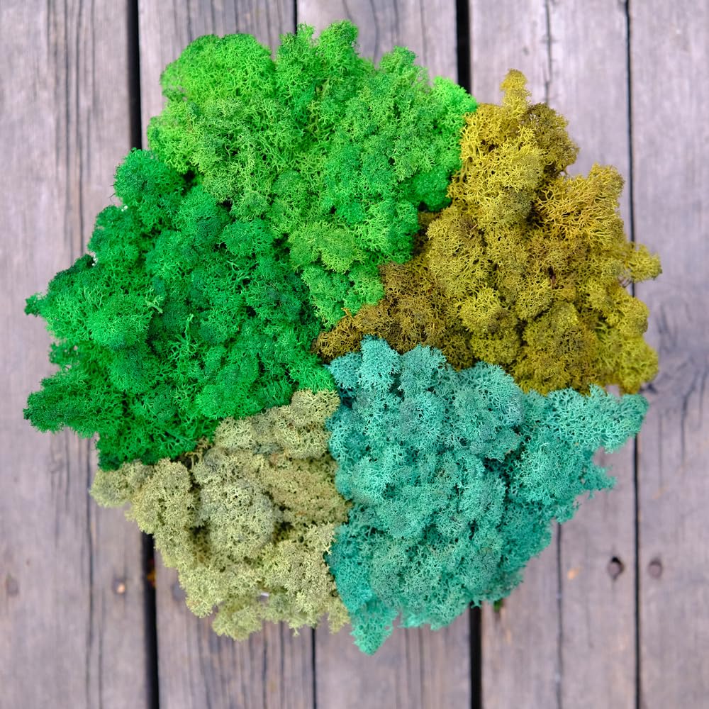 Prefleur Preserved Reindeer Mix Craft Moss Natural Green DIY Kit Gardenning Art Wall Decor Florist Easter Table Decor Wedding Decor (1lb)(Green-7 Green-10-2 Green-11 Green-14 Green-13)(Style-22)