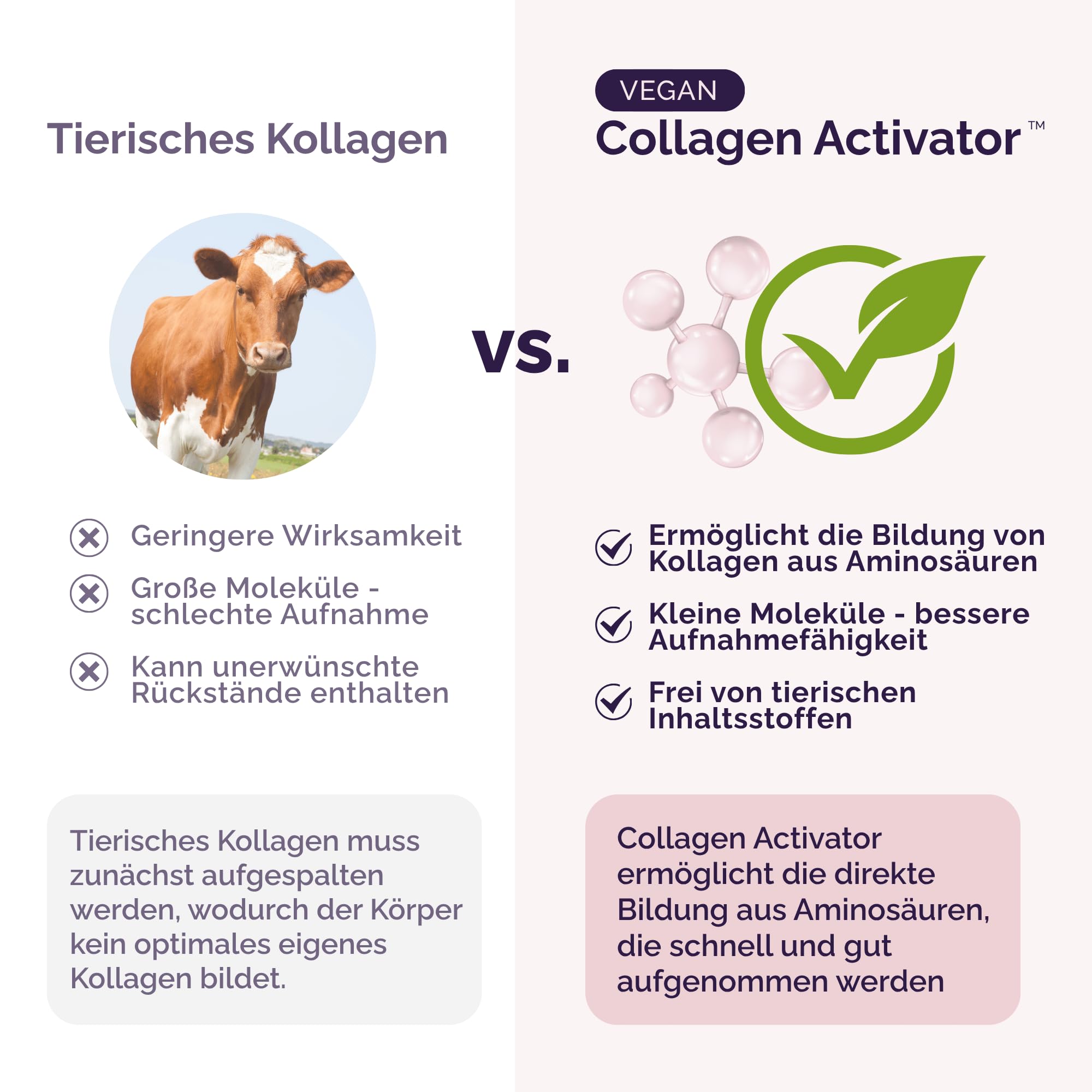 Collagen Activator – Kollagenbildung aktivieren, Für Haut, Haare & Nägel, 14 Aminosäuren + 11 Vitamine & Mineralstoffe, Vegan, 20 Tage Kur (3er-Packung (180 Gramm))