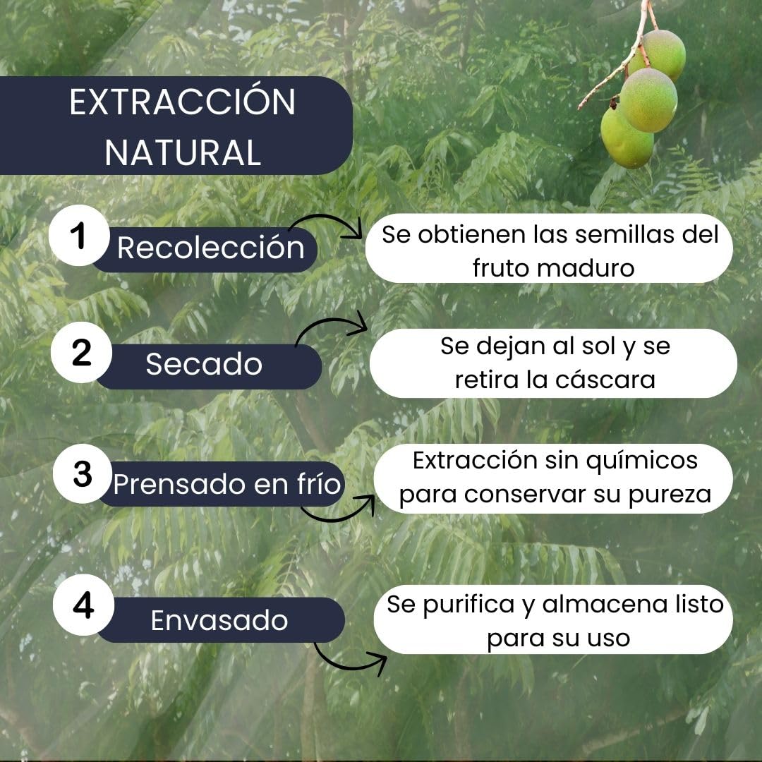 PLANTAWA Aceite de Neem 5L | Materia Prima de Origen Natural para Preparaciones Caseras | Prensado en Frío | Uso Interior y Exterior | Formato Económico y Versátil