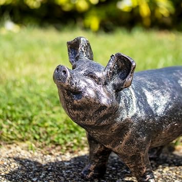 Darthome Bronze Effect Curious Pig Garden Ornament, Resin, Black Bronze, Farmyard Animal Statue, W36cm x H24cm x D15cm