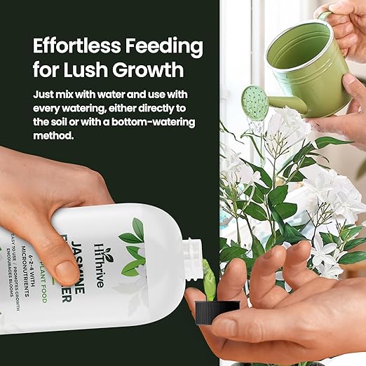 Fertilizante Líquido para Jazmín 16 oz - HiThrive miniatura 5