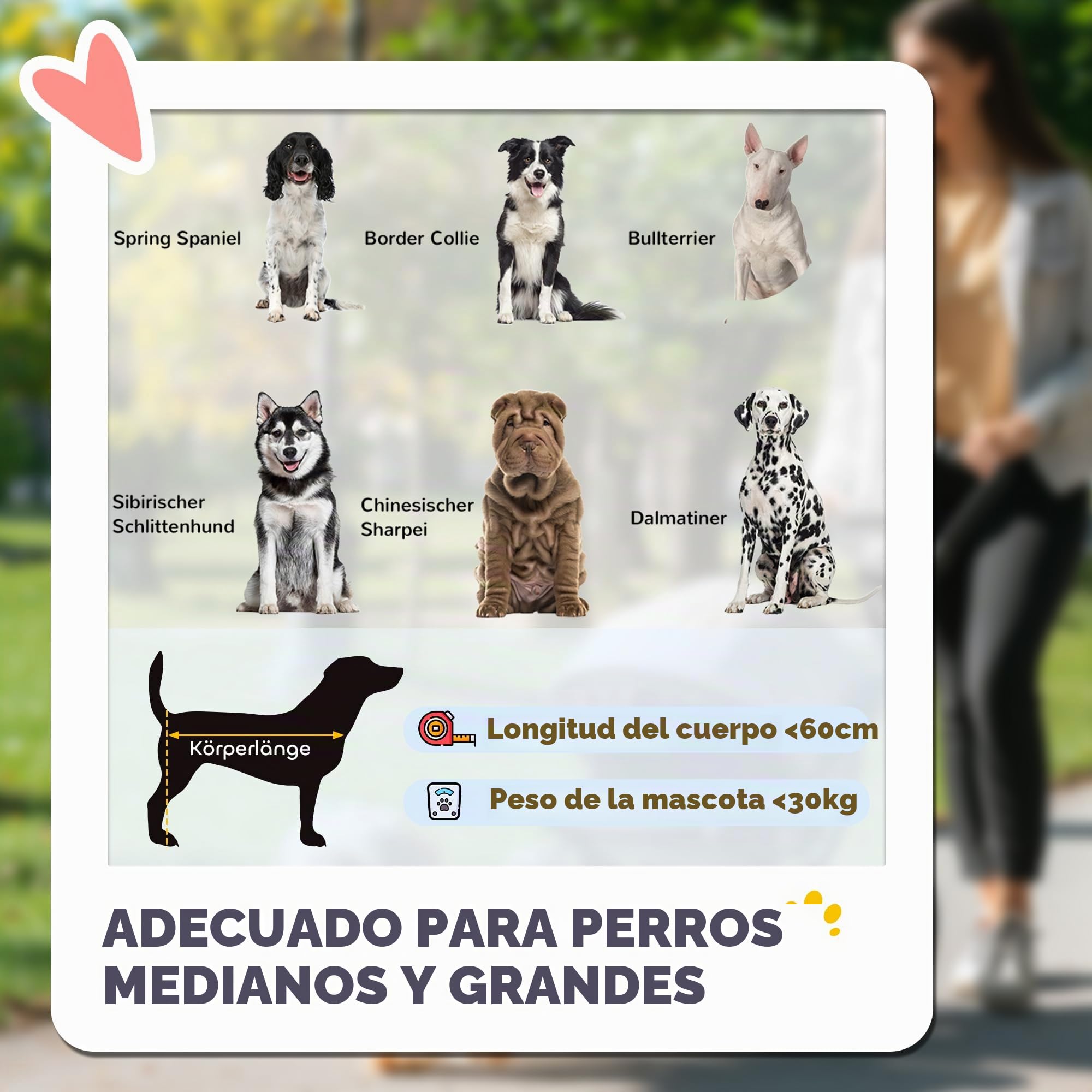 Carro para perros PawHut, carro para perros con cojín, carro plegable para perros, carro para perros grandes y medianos, carro para perros con ventana de malla, correas de seguridad, bolsa, tejido