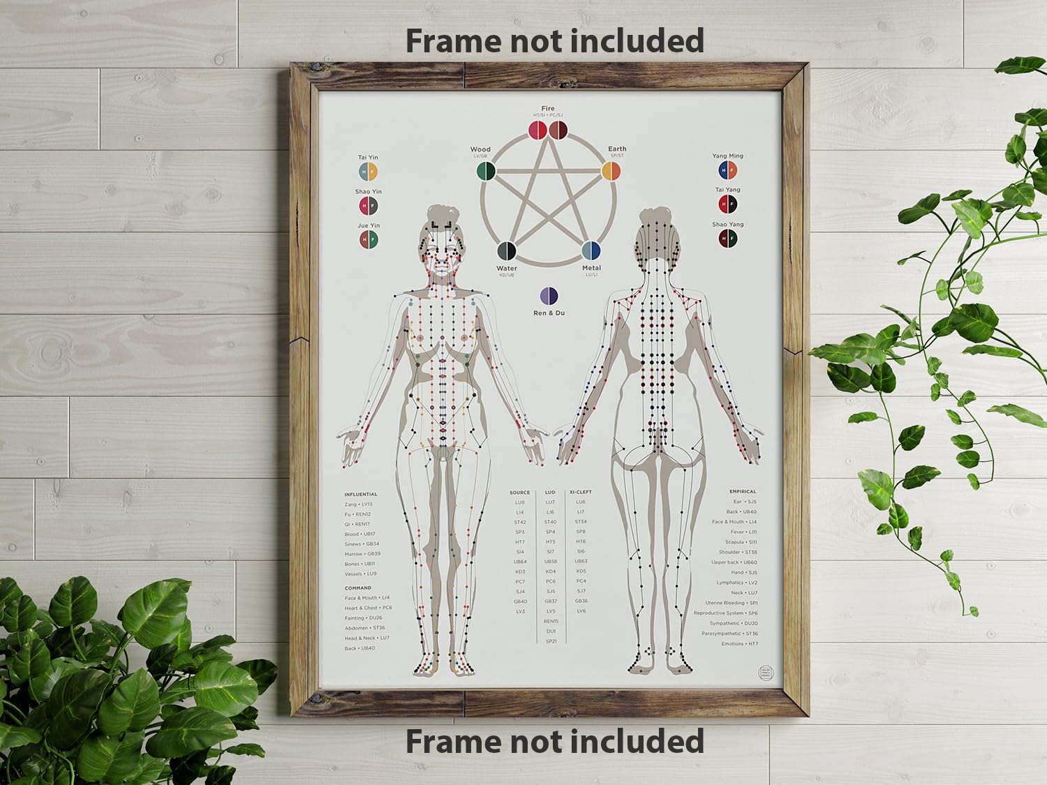 Chinese Body Meridian Chart