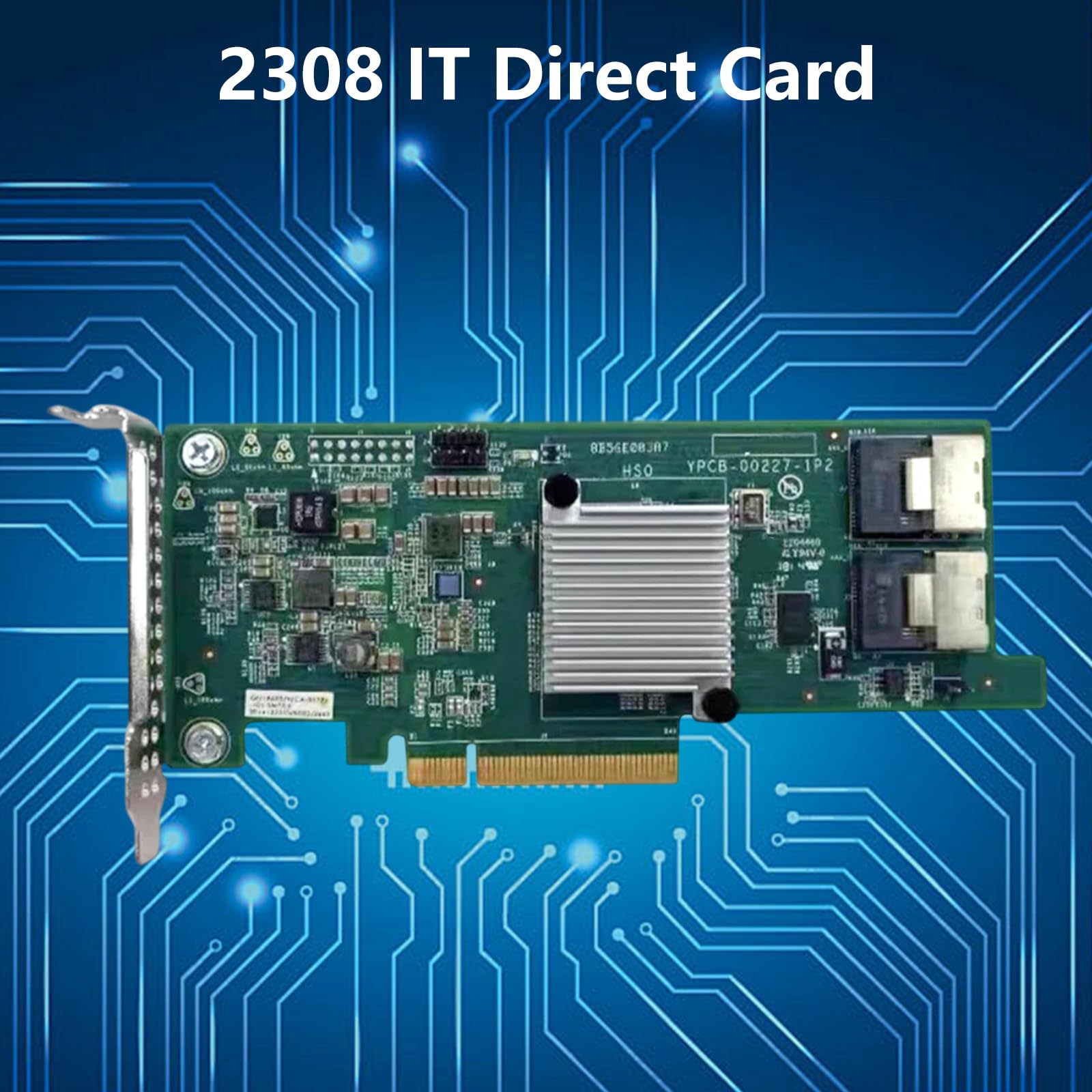 Generisch La scheda IT SAS2308-HBA supporta il trasferimento dati da 6 Gbps per il disco rigido