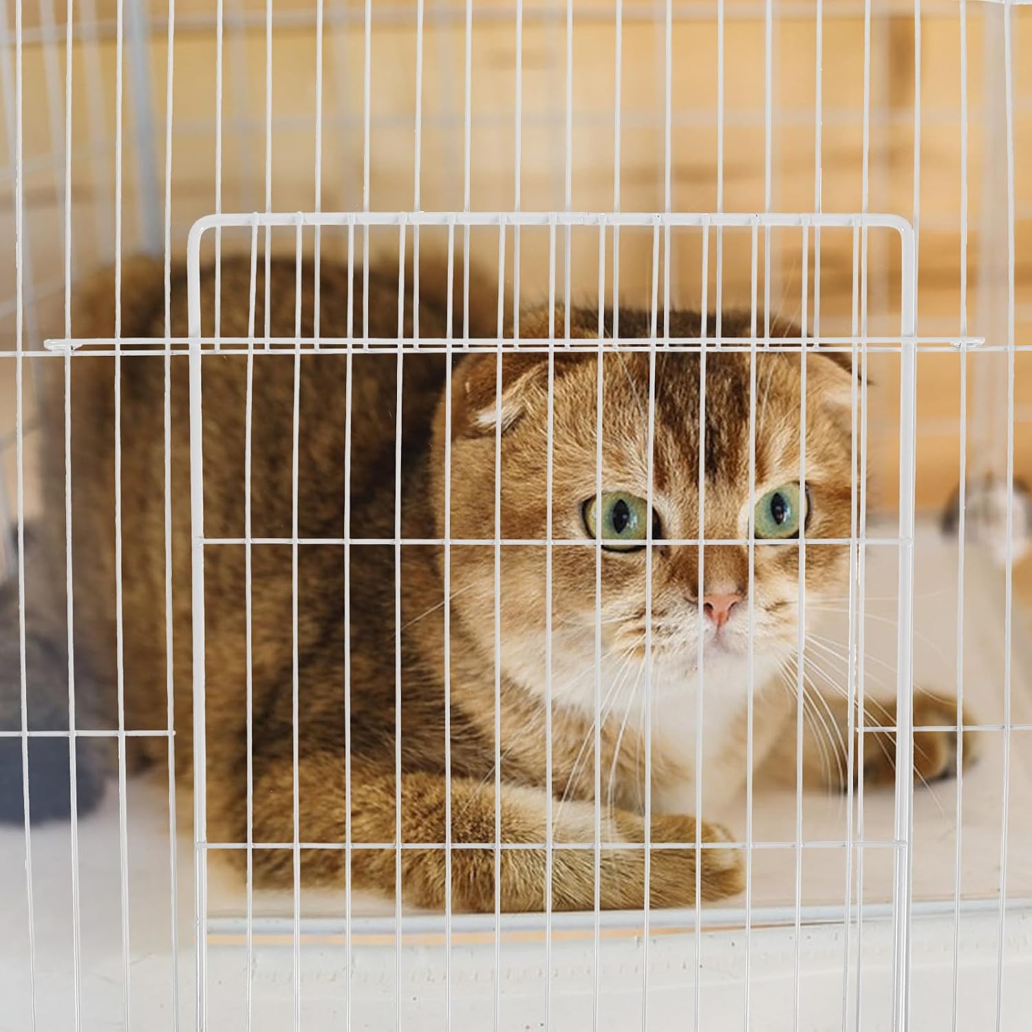 Cat Cage Replacement Door Mesh Panel for Modular Enclosures White Iron | 35x35 Cm Size, Inward-folding Gate Design, Dense Weave Construction, Cat House Design