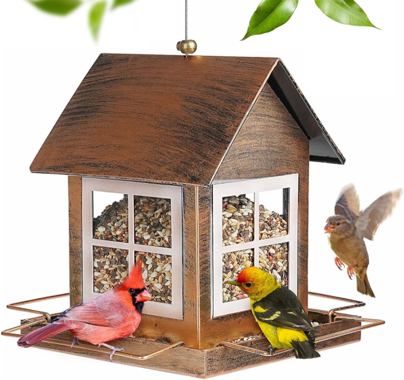 Thumbnail for Macaw Bird Feeder Designs For Large Yards