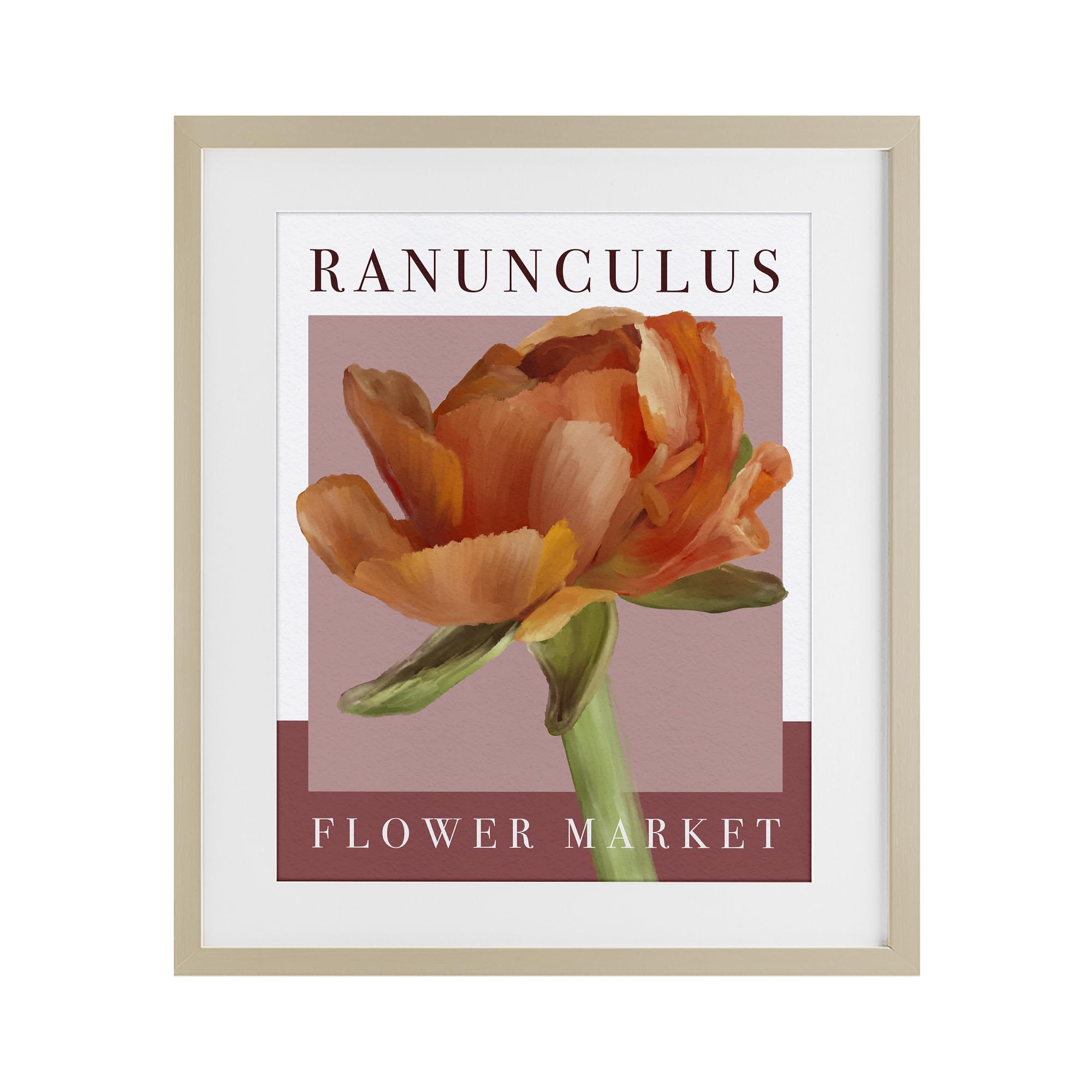 'Ranunculus Flower Market'| Framed Print Under Glass