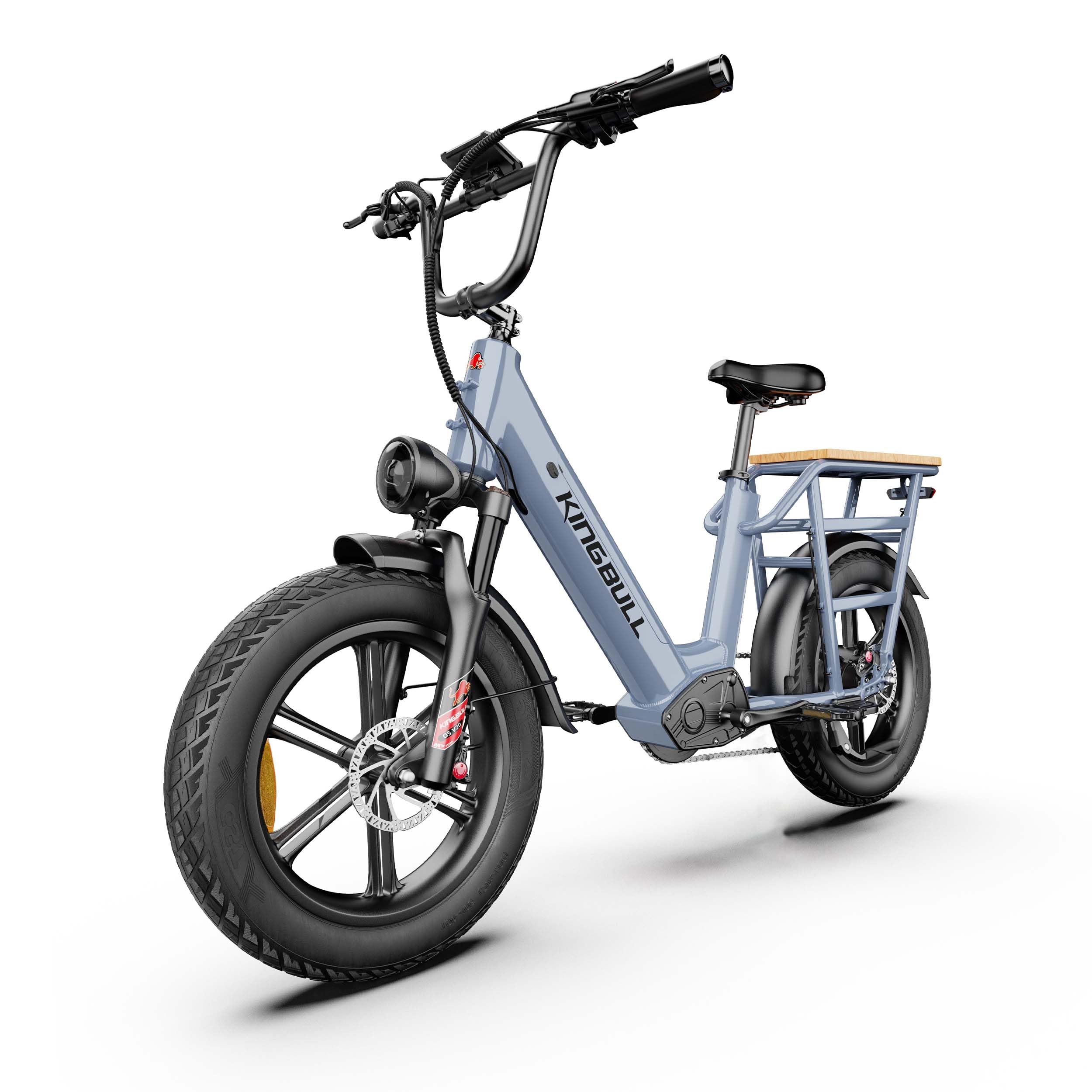 Elektric Cargo Bike Fat Tire E-Bike 20 Zoll 200kg Zuladung 960Wh, 25km/h Elektrofahrrad 100km Reichweite, Hydraulikbremsen für Erwachsene