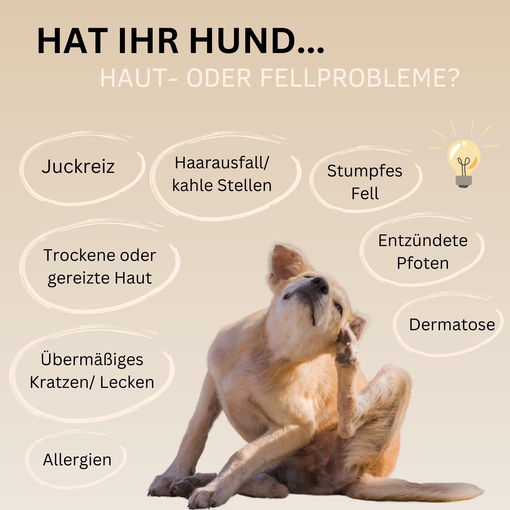 Haut & Fell Drops mit Algenöl (Omega 3) für Hunde I gegen Juckreiz, Haarausfall & trockene Haut I für glänzendes Fell mit Biotin, Bierhefe, Vitamin E I 100% natürlich I ca. 120 STK.