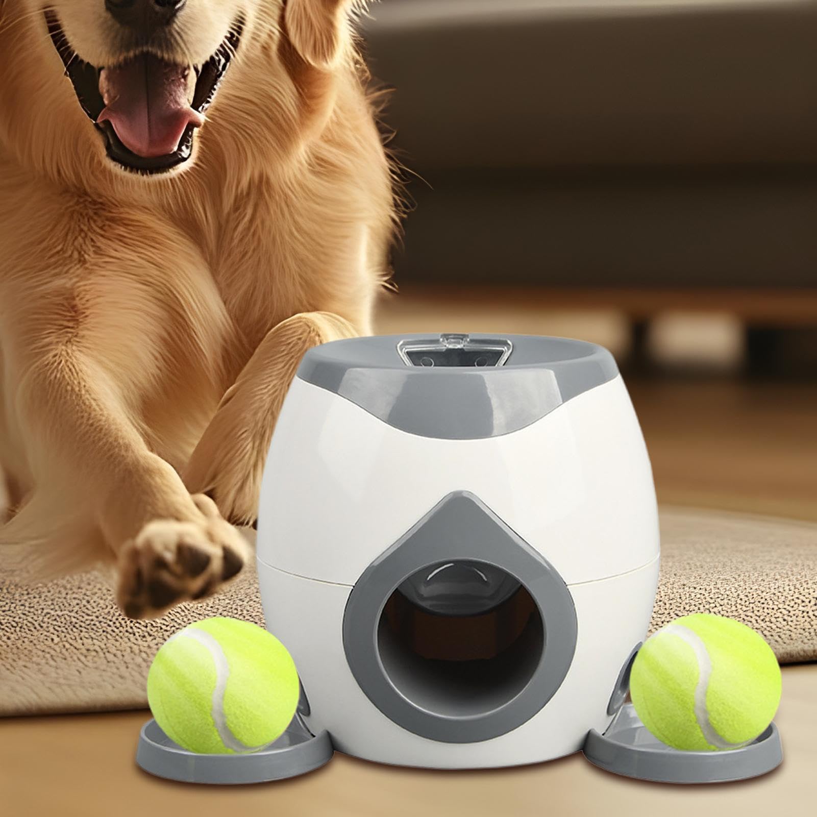 Automatique lanceur de balle pour chiens - Lance-balle interactif avec stimulation mentale