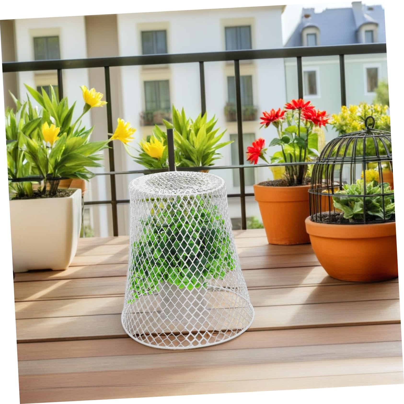 SOIMISS Cloche Grillagée Métal pour Protection De Plantes Semis Et Légumes Usage Extérieur Et Balcon