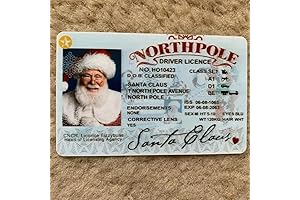 Santa ID: A Fun Christmas Decoration