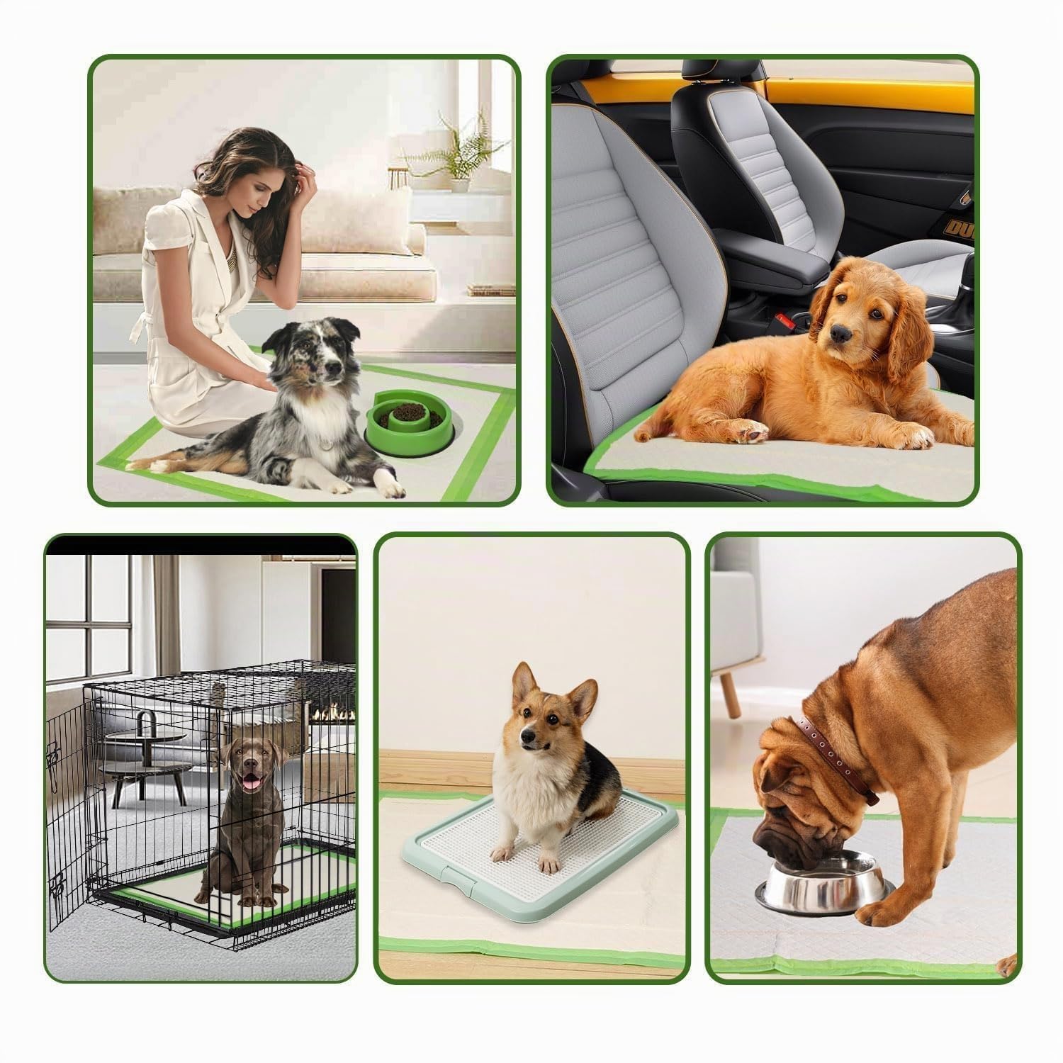 Gardner Pet 30 Pièces Tapis Absorbant pour Chien Écologiques 70x85CM, Alèse Jetable Chien Ultra Absorbant Alaise Anti-Fuite Résistante, Tapis Éducateurs Pipi Propreté pour Chiot, Chiens et Chats