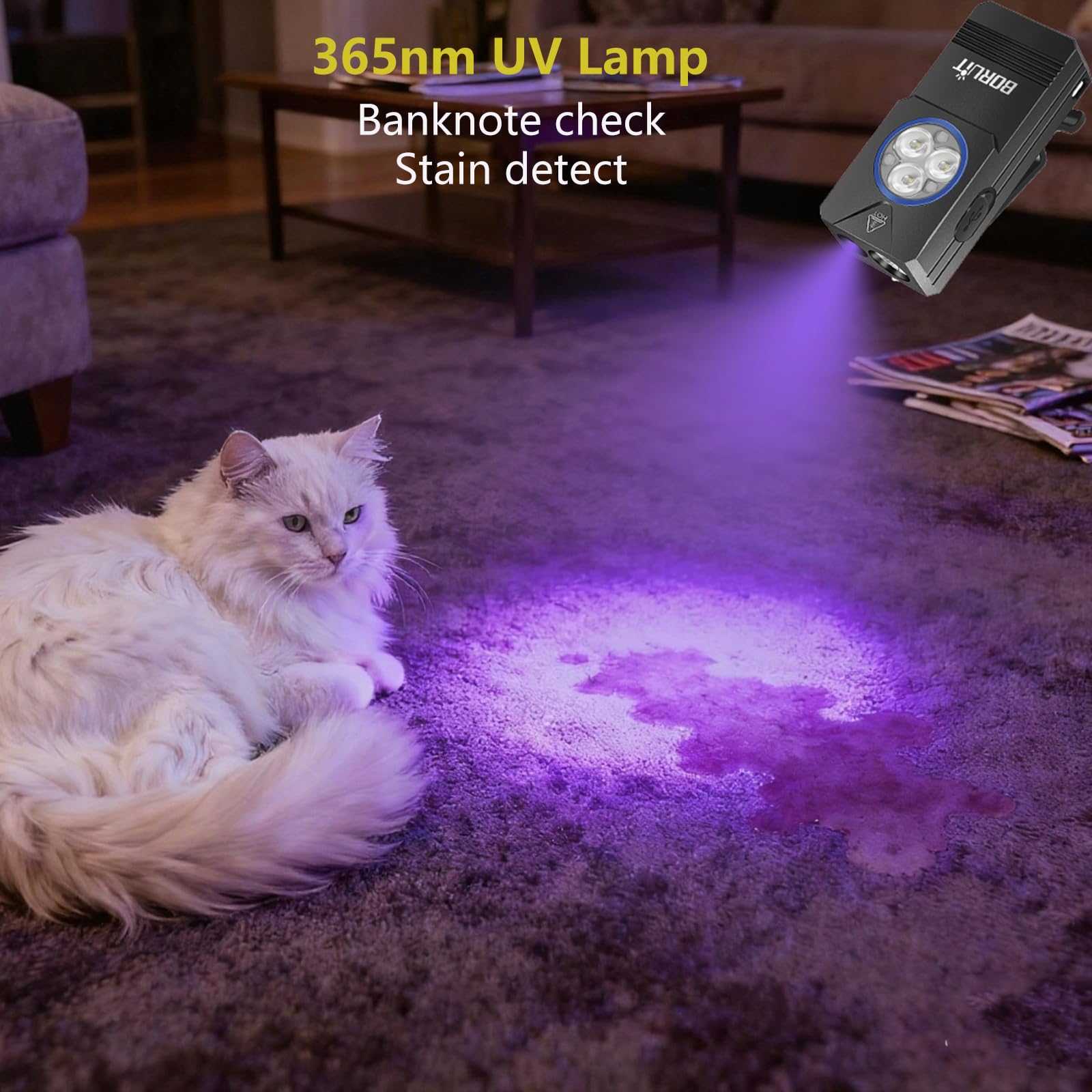 BORUIT EV30 Mini Torcia LED EDC 550 Lumen Con Luce UV 365nm - Ricaricabile USB-C, Magnetica, Impermeabile IP66, Per Campeggio Ed Emergenze