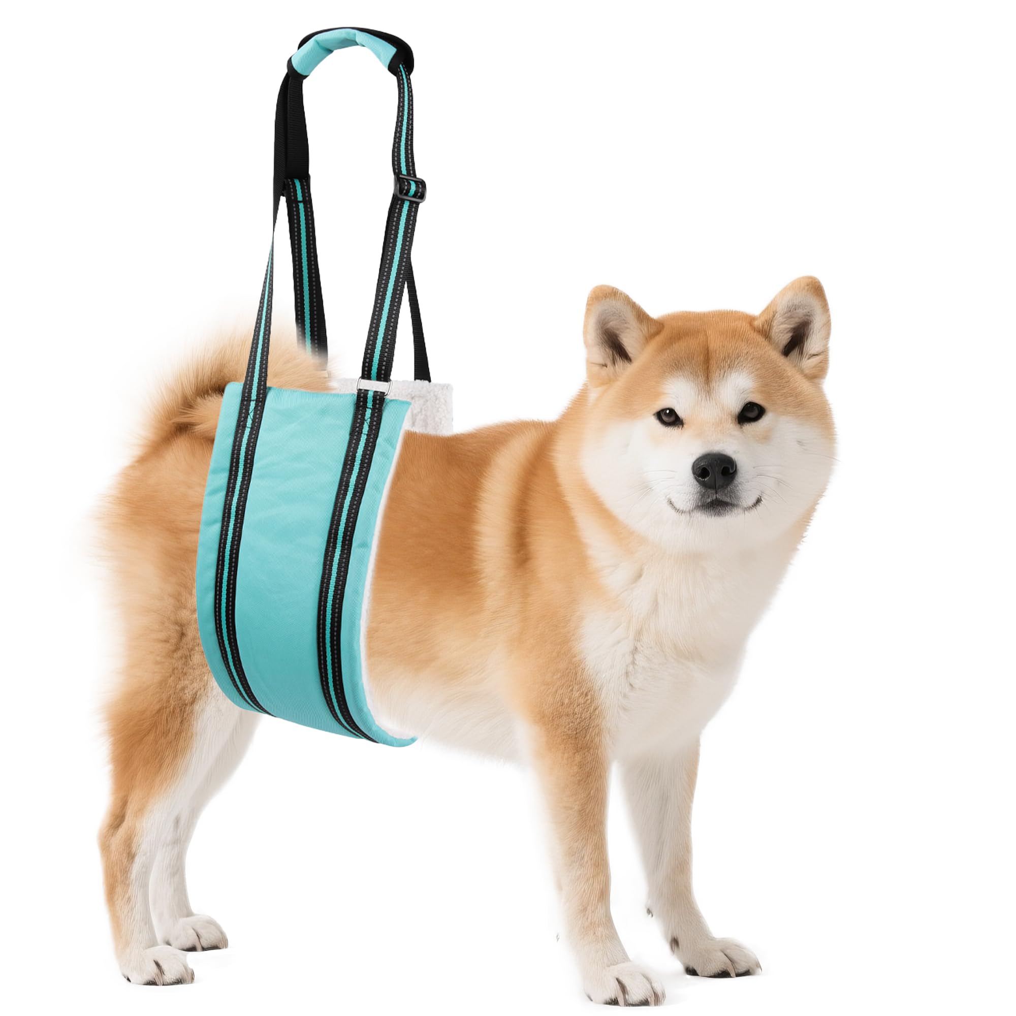 AIITLE Dog Lift Harness Medium - Hind Leg Support Sling with Hip Padding, Rehab Mobility Aid for Senior/Disabled Dogs, Orthopedic Injury & ACL Surgery