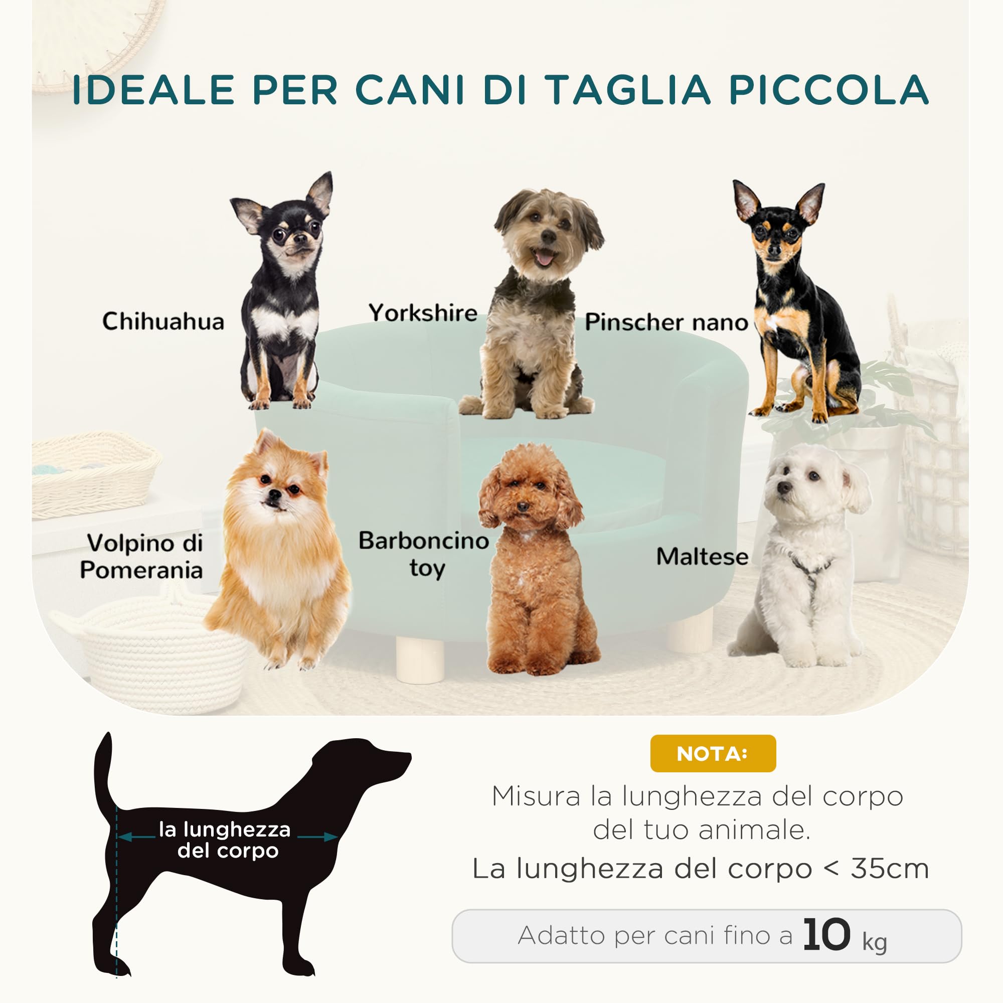 PawHut Divano per Cani Imbottito con Schienale e Cuscino Rimovibile, Cuccia per Gatto da Interno, 65x64x37cm, Verde