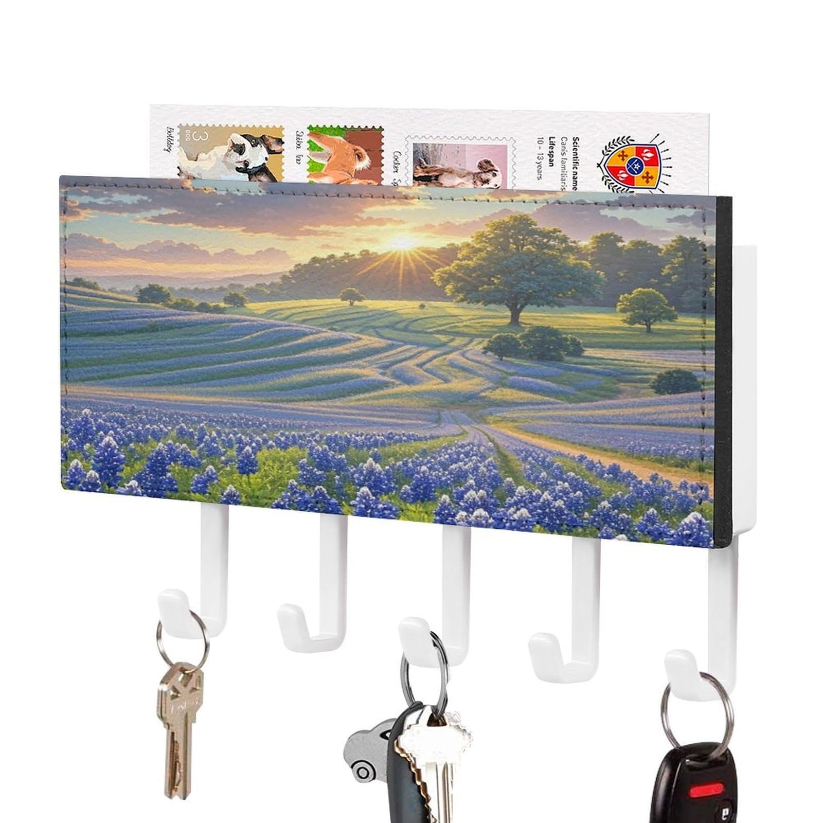 FekiLoot Texas Bluebonnets Scenery Key Holder Wall Mounted Key Hanger with 5 Hooks Hallway Key Rack Decor for Kitchen Entryway Key Hooks PU Leather Key Organizer for Front Door Office