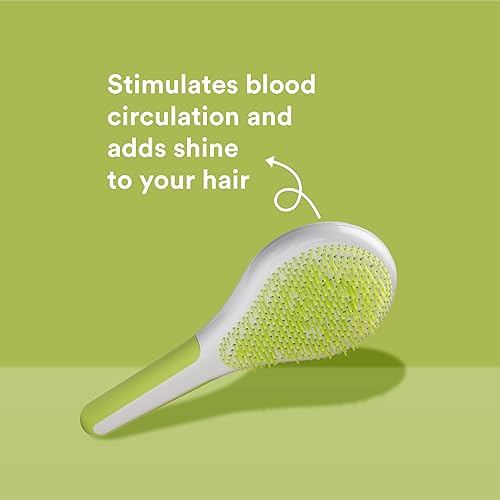 Miniatura 4 de Michel Mercier Cepillo desenredante para cabello húmedo y seco, cerdas suaves, mango antideslizante para cabello saludable, brillante, regular,