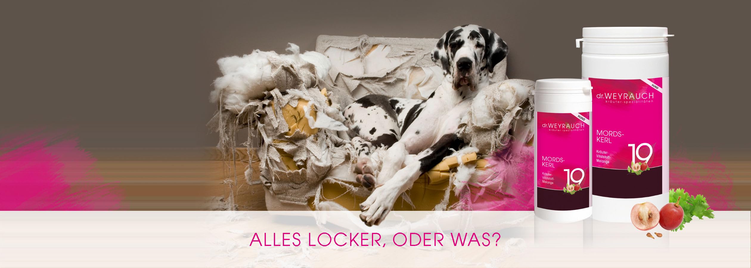 Dr. Weyrauch Nr. 19 Mordskerl | 180 Kapseln | Ergänzungsfuttermittel für Hunde | Mit Magnesium