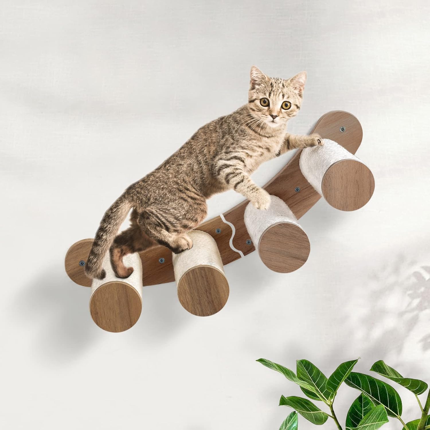 TOFUUMI Cat Wall Furniture Cat Wall Shelves cat Ladder cat