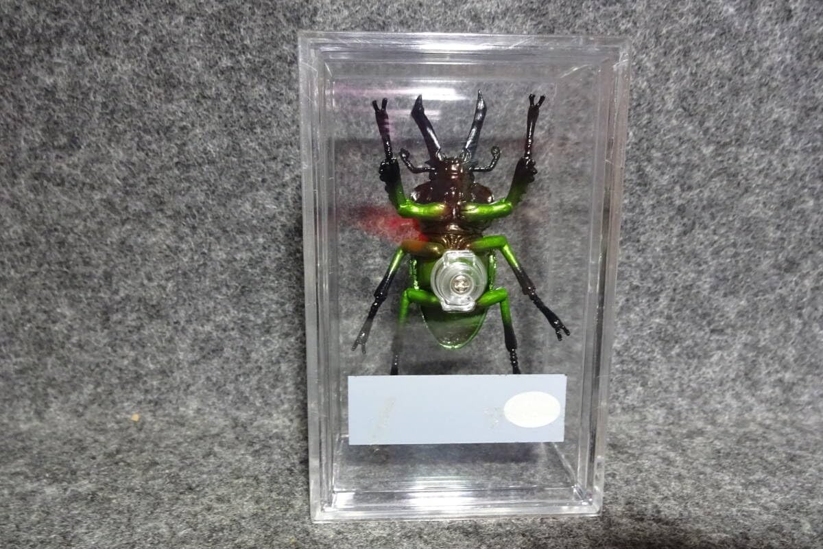 Amazon.co.jp: ニジイロクワガタ デアゴスティーニ 世界の昆虫 DATE