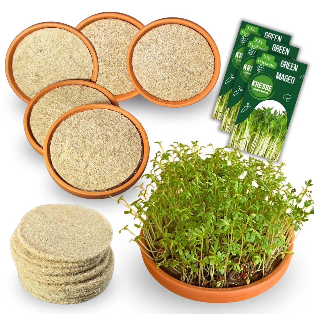 Kit culture cresson XXL pour herbes fraîches sans terreau ni jardin