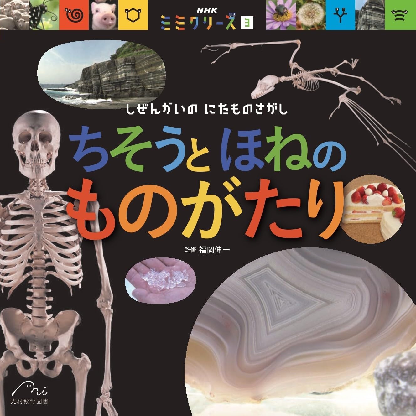 Amazon.co.jp: ちそうと ほねの ものがたり: しぜんかいの にたもの
