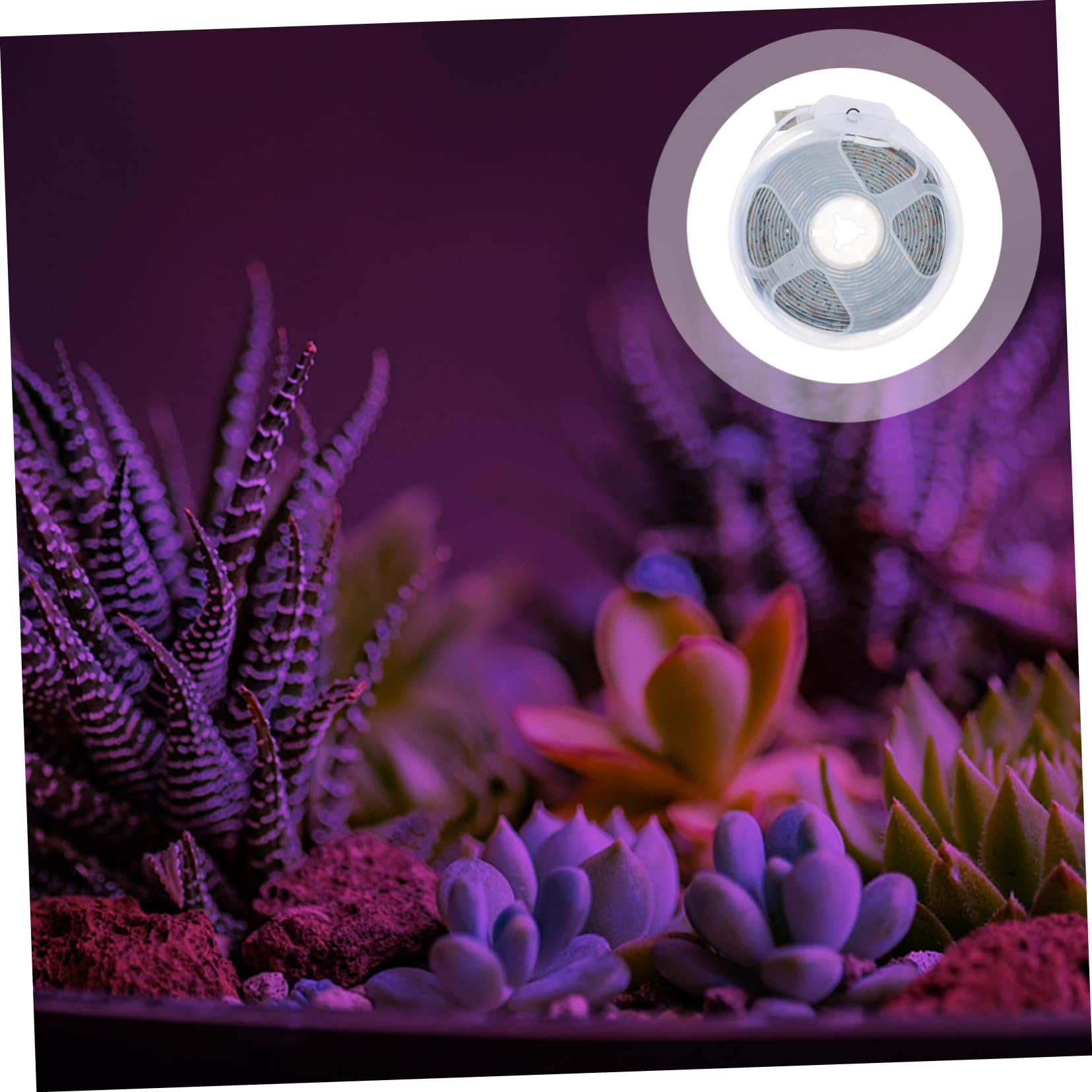 Toyvian Tira De Luces Led Para Cultivo Usb Espectro Completo Para Plantas De Invernadero Lámpara De Crecimiento Interior Con Control Táctil y Resistencia Al Agua Metros