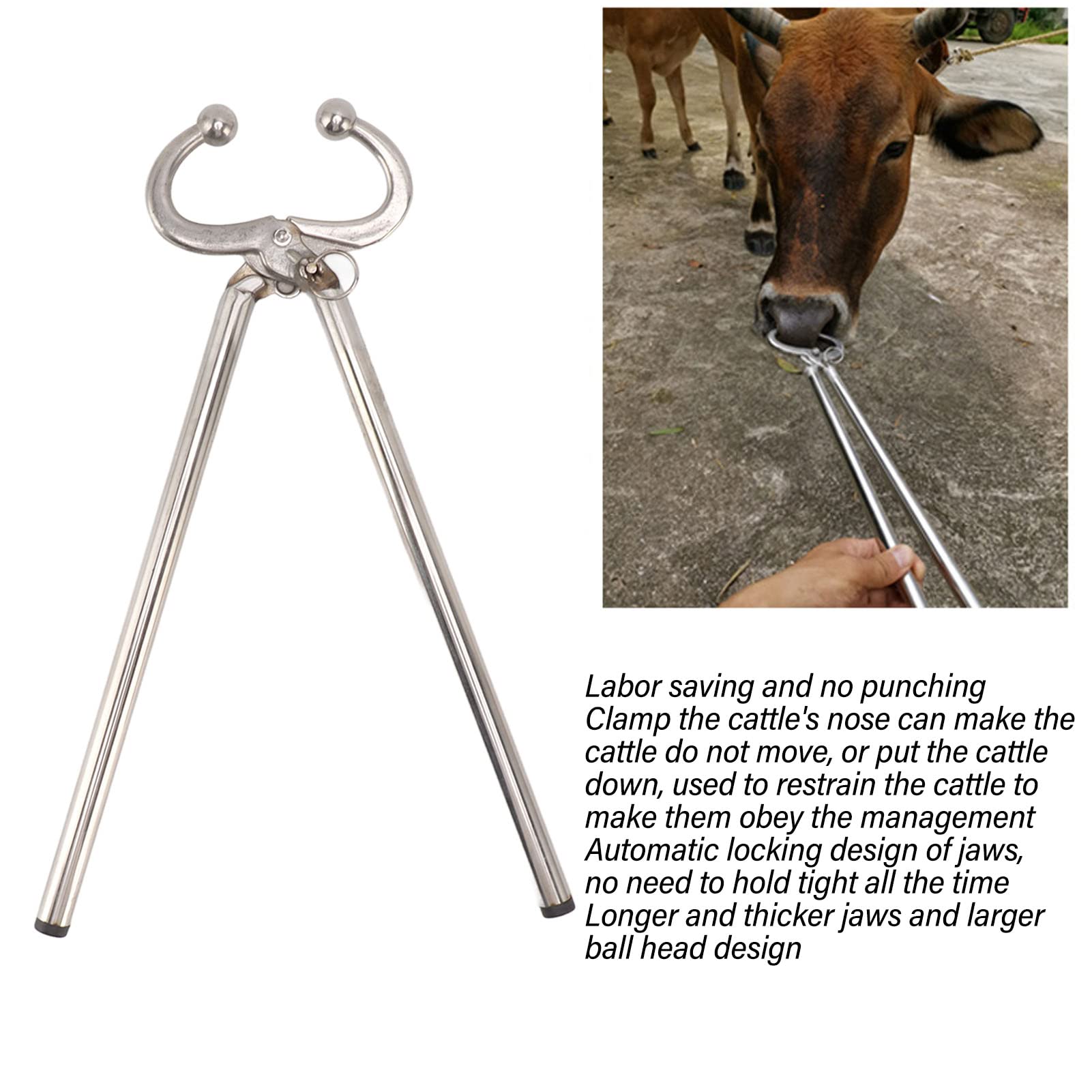 Qcwwy Pinza per Naso per Bovini, 16 Pollici Morsetto per Naso per Bovini Testa a Sfera Morsetto per Trazione per Bovini Strumento per Tirare Il Naso di con Design di Bloccaggio