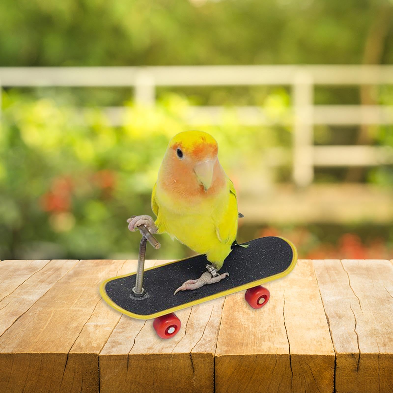 Parakeet Toy Bird Skateboard Toy Bird Stand Sturdy Chewing Parrot Play Stand Intelligence Toy Training Toy for Gyms Interior