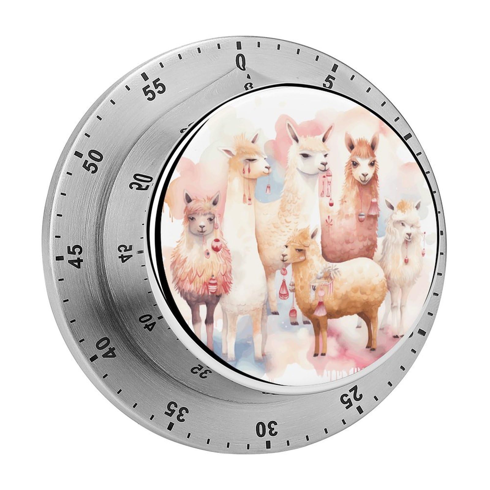 Alpaca2 Visual Timer with Loud Alarm 60-Minute Kitchen Timers Exquisite Stainless Steel Body - Mechanical Desk Timer Countdown Clock for Cooking Chef Clock