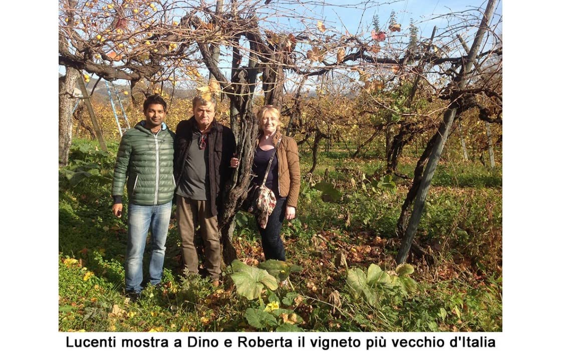 Condimento alimentare Sua Maestà Nera Gran Riserva 100 ml