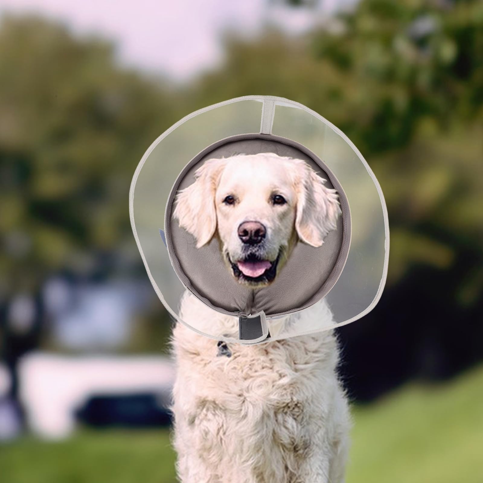 INOOMP Collare Gonfiabile Protettivo per Animali Domestici in Pvc Leggero Protezione Ferite Regolabile per Cuccioli Recupero Postoperatorio