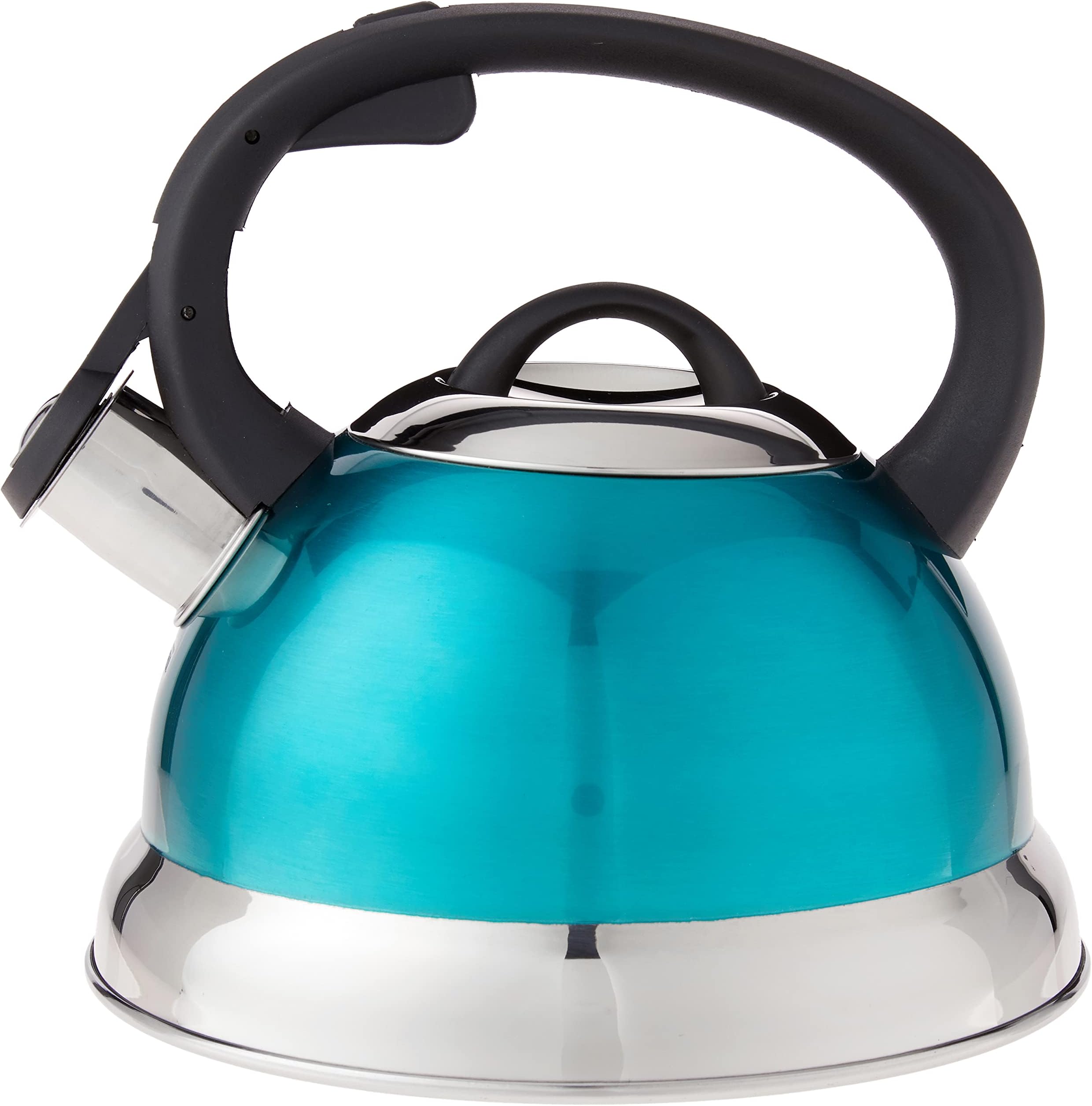 Mr. Coffee Flintshire Stainless Steel Whistling Tea Kettle W/Nylon Handle, 1.75-Quart, Metallic Teal Green