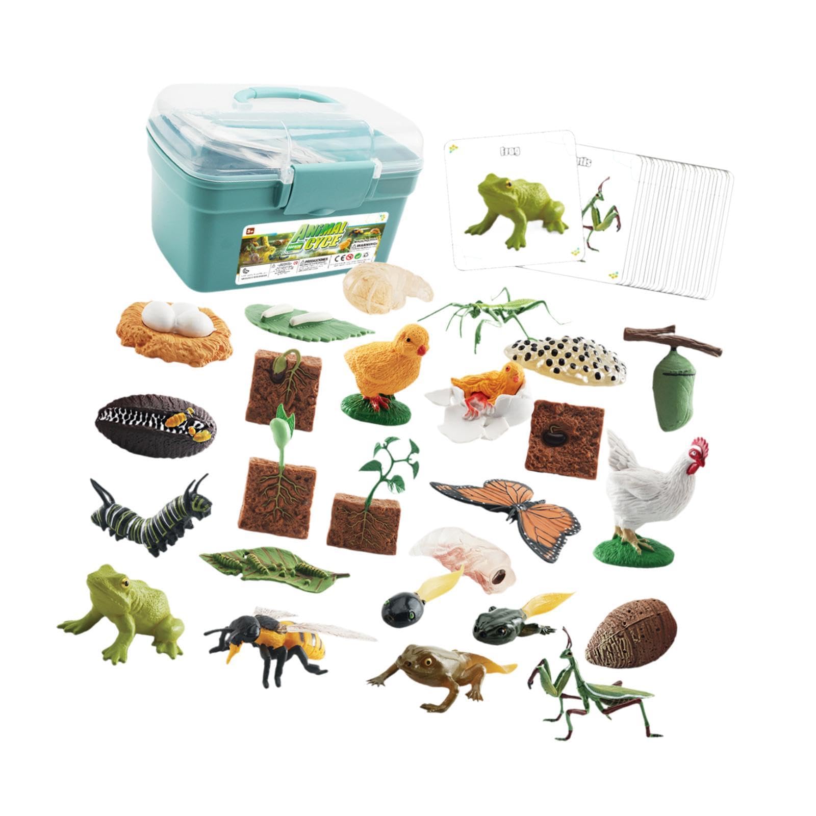 Tier Lebenszyklus Figurenset mit Tiermodell Pflanzenfiguren Biologie Lernspielzeug Und Entwicklungsspiel für Vorschule Präsentationen Gebur, Blaue Box