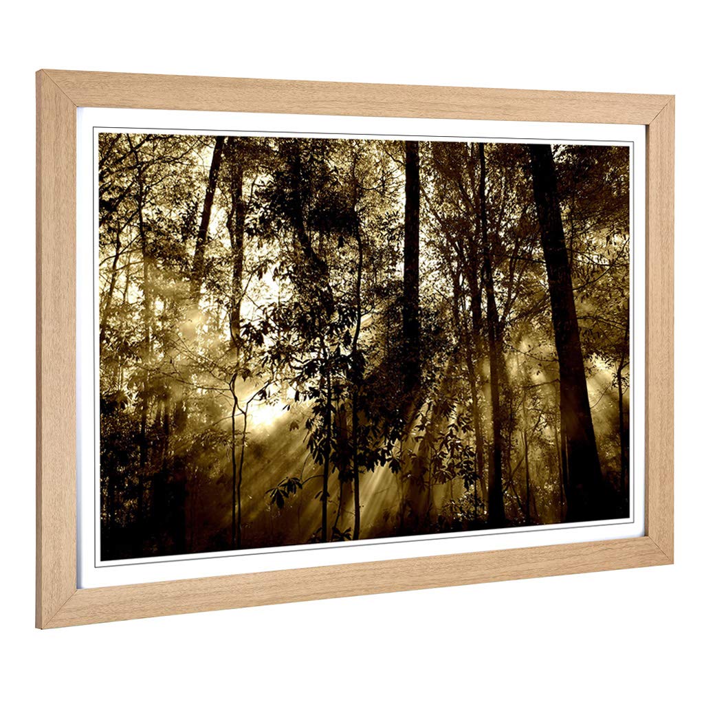Big Box Art Framed Print of Sunlight Forest Woodland Design | Wall Art Picture | Home Decor for Kitchen, Living, Dining Room, Bedroom, Hallway, Office, Oak, A2 / 24.5x18 Inch / 62x45cm