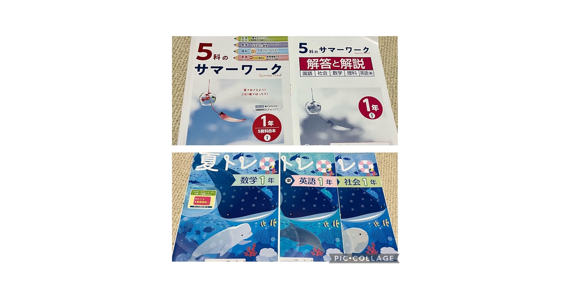 GW SALE (6日迄) 受験対策自主学習中学1年~3年5教科(計26冊)一式 中学五教科】自学自習のための参考書・問題集リスト｜向坂くじら