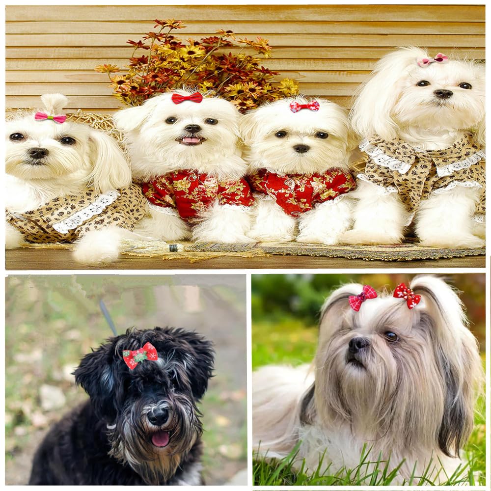 Lot de 30 nœuds pour chiens avec élastiques, différents styles d'arcs pour chiens, Bow Styles Multiples Flocons pour cheveux pour chiens, jolis accessoires de toilettage, accessoires pour colliers