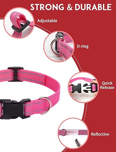Miniatura 2 de PaiPaitek Collar de repuesto para collar de choque, compatible con Patpet, Sportdog, Garmin, Dogtra, Delupet, Bousnic, Petspy, Nbju, correa de