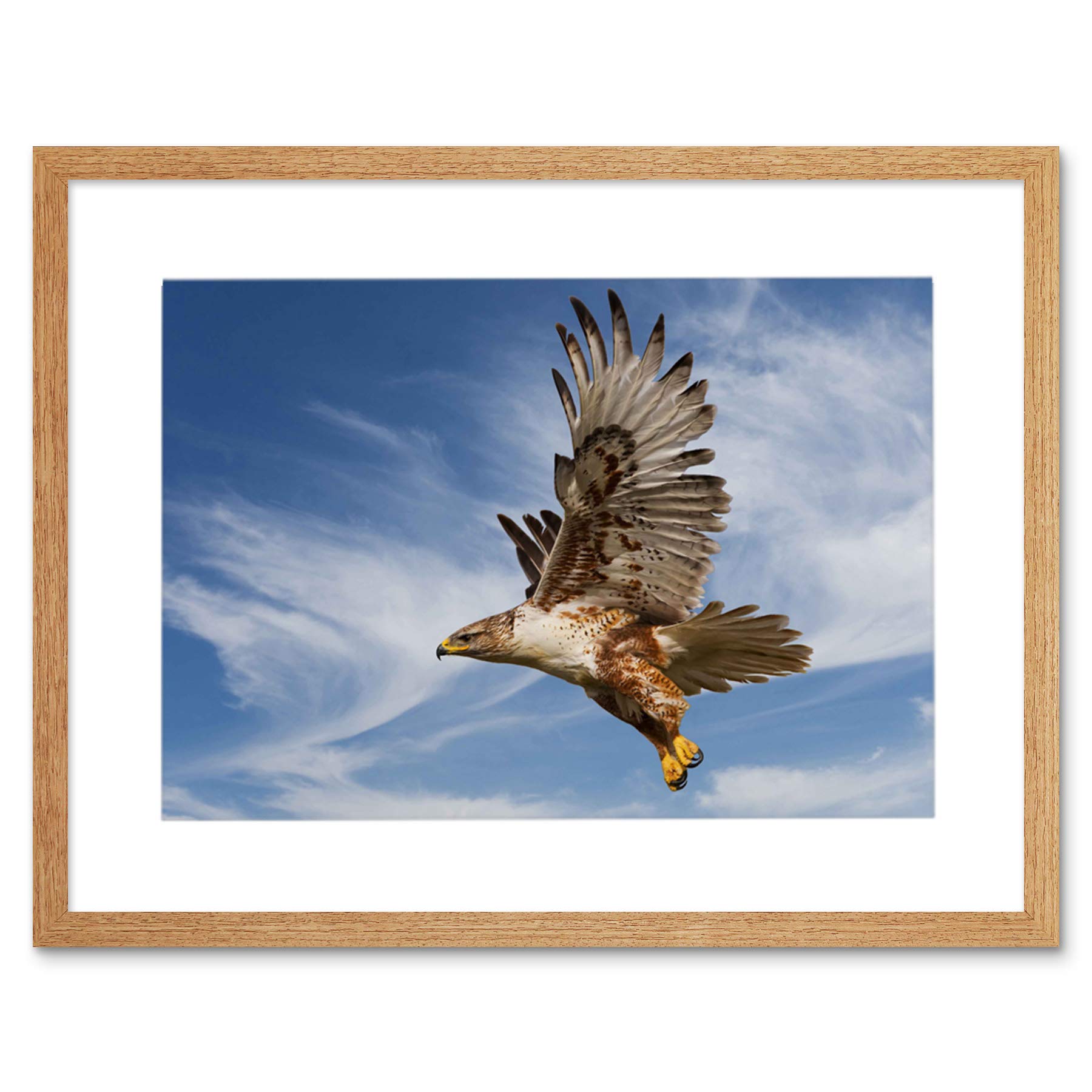 Wee Blue Coo Ferruginous Hawk Prey Hunting Flight Bird Framed Art Print Picture F12X341