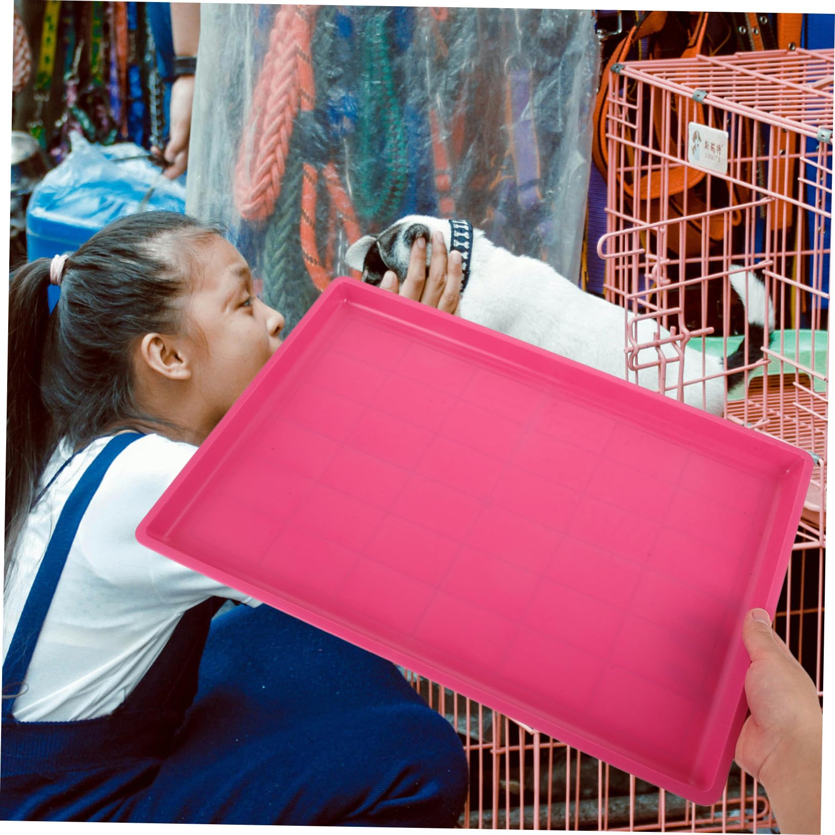 INOOMP Bac de Cage en Plastique pour Animaux de Compagnie Plateau de Remplacement pour Chiens et Bac à Litière Antidérapant 60X40 CM et Facile à Nettoyer