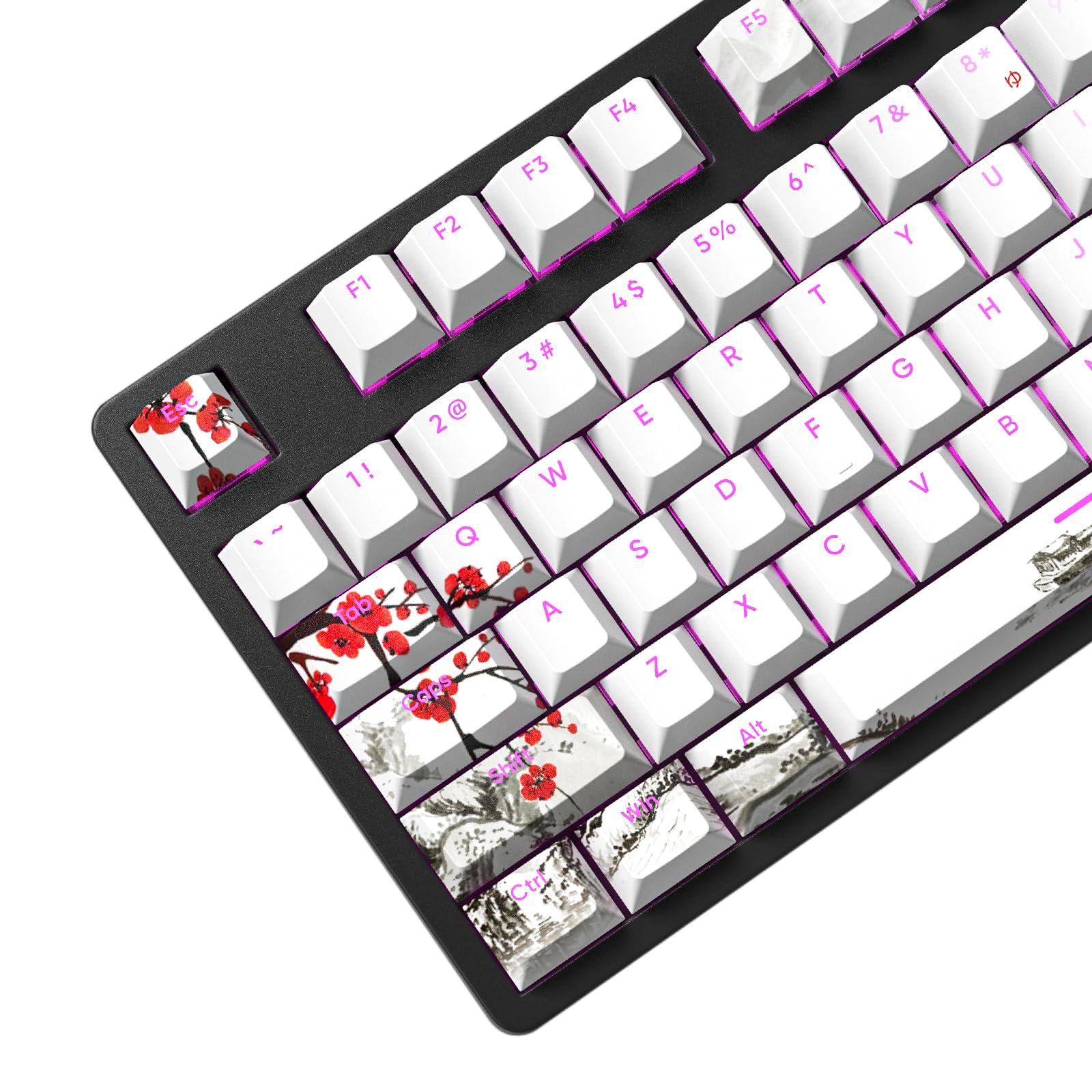 Amazon.com: MOLGRIA 129 Set Light-Go-Through Custom Keycaps