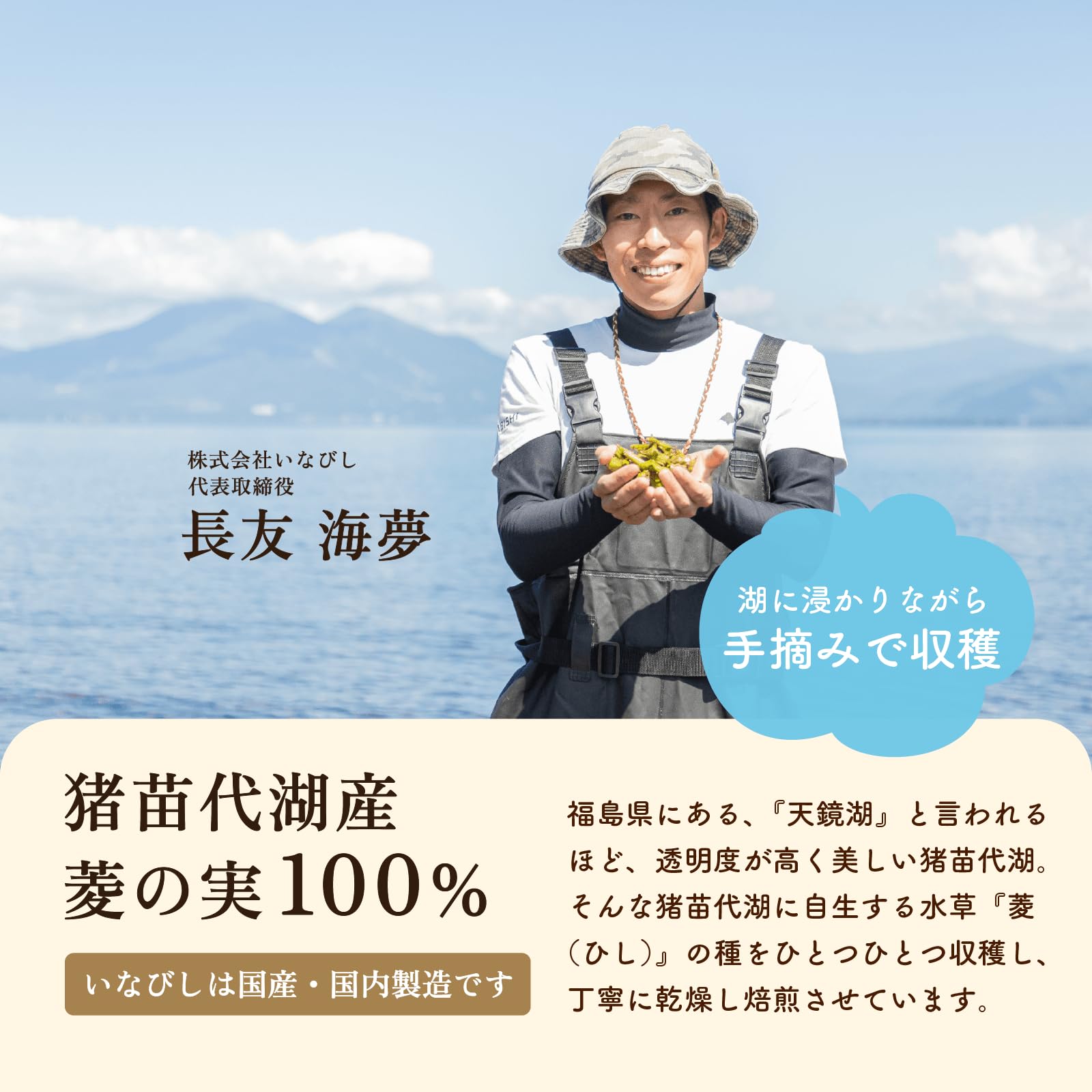 Amazon | 純国産 無添加 いなびし ヒシ茶 ティーバッグ 健康茶 ノン